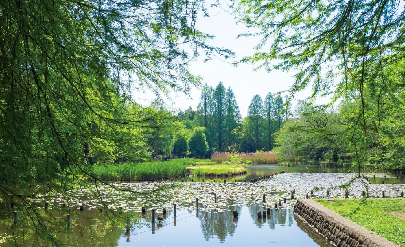 街の賑わいを愉しみ、緑と水にやすらぐ西荻窪