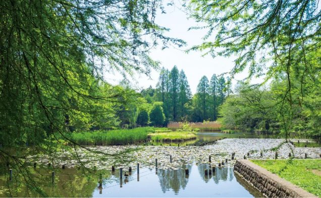 善福寺公園／徒歩7分