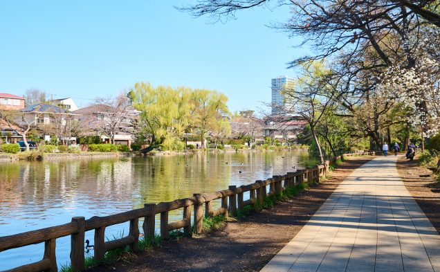 石神井公園／徒歩9分